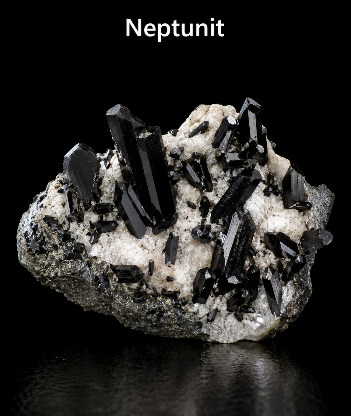 Neptunit