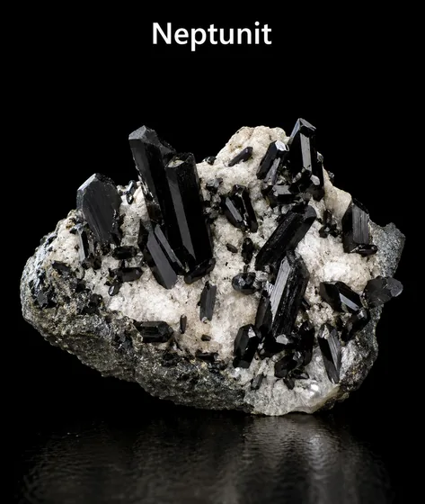 Neptunit